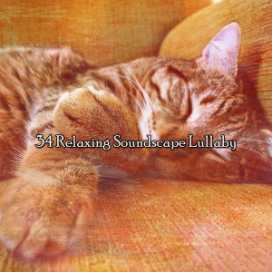 อัลบัม 34 Relaxing Soundscape Lullaby ศิลปิน Mother Nature Sound FX