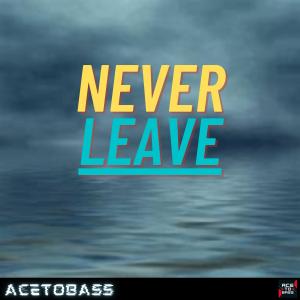 Listen to Never Leave (feat. Jayden Salas) song with lyrics from AceToBass