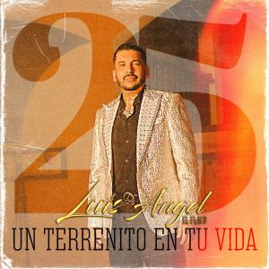 Luis Angel "El Flaco"的專輯Un Terrenito en Tu Vida