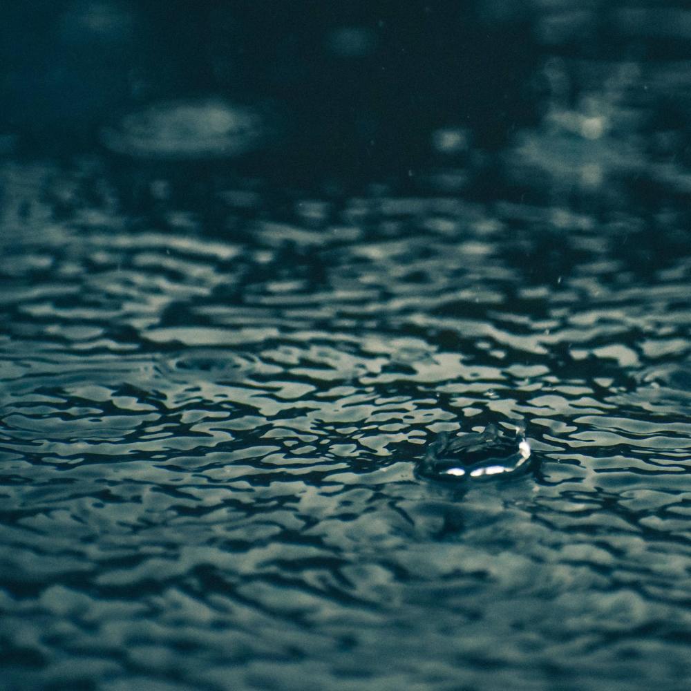 Raindrops
