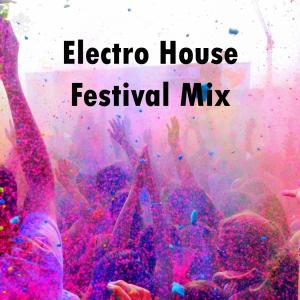 Various Artists的专辑Electro House Festival Mix