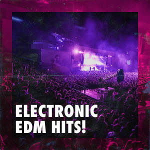 Album Electronic EDM Hits! from Deep House Music