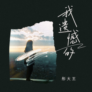 Listen to 我遗憾的 song with lyrics from 彤大王