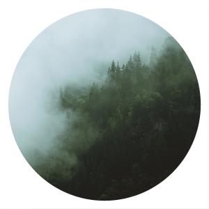 ดาวน์โหลดและฟังเพลง Vienen A Verme พร้อมเนื้อเพลงจาก Moldovan