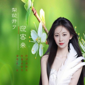 Listen to 梨花开了迎客来 (完整版) song with lyrics from 炫音飞歌