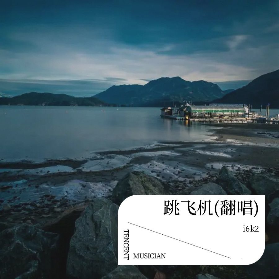 跳飞机 (i6k2 remix) (Remix)