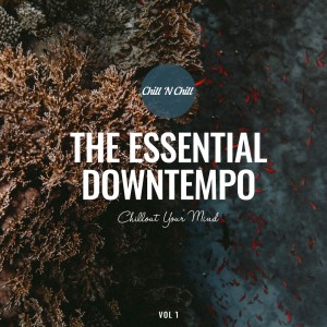 Album The Essential Downtempo: Chillout Your Mind oleh Various Artists