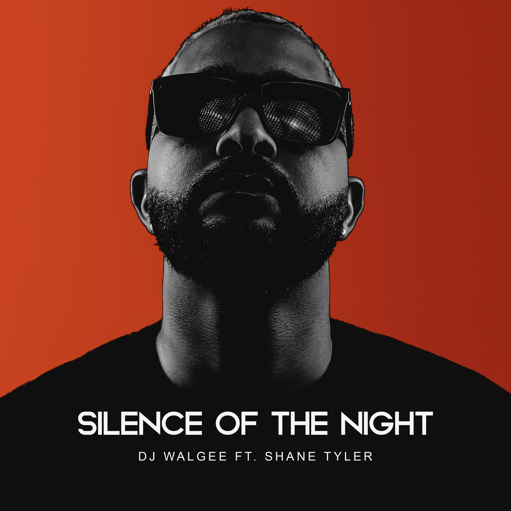 SILENCE OF THE NIGHT