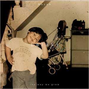 Album Lelaki from Razak