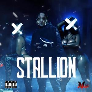 Listen to Stallion (Explicit) song with lyrics from JhUmble