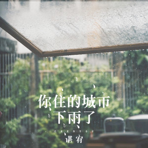 收聽諶宥的你住的城市下雨了歌詞歌曲