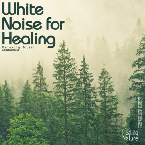 힐링 네이쳐 Nature Sound Band的专辑White Noise for Healing (Relaxation, Relaxing Muisc, White Noise, Insomnia, Deep Sleep, Meditation, Concentration, Lullaby, Prenatal Care, Healing, Memorization, Yoga, Spa)