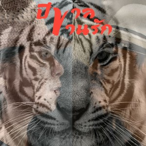 Listen to ปีขาล ขานรัก song with lyrics from โอ้ เสกสรรค์ ปานประทีป
