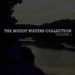 收聽Muddy Waters的I Want You to Love Me歌詞歌曲