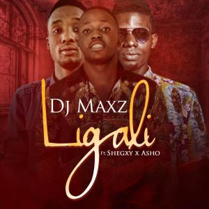 Album Ligali (feat. Shegxy & Asho) from Dj Maxz