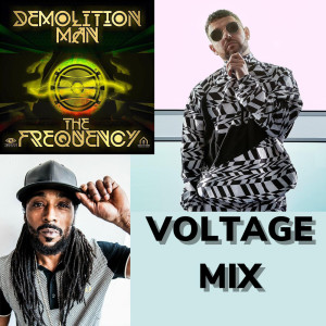 Album The Frequency (Voltage Mix) from Demolition Man