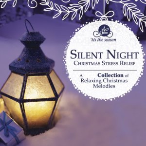 Wayne Jones的專輯Silent Night: Christmas Stress Relief