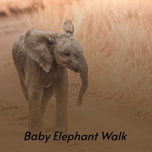 Dengarkan Baby Elephant Walk lagu dari Jo Basile dengan lirik