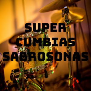 ดาวน์โหลดและฟังเพลง Cuando seas mia พร้อมเนื้อเพลงจาก Los Tigrillos