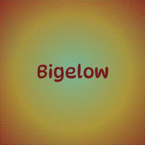 收聽Anderson的One mile over two miles back歌詞歌曲