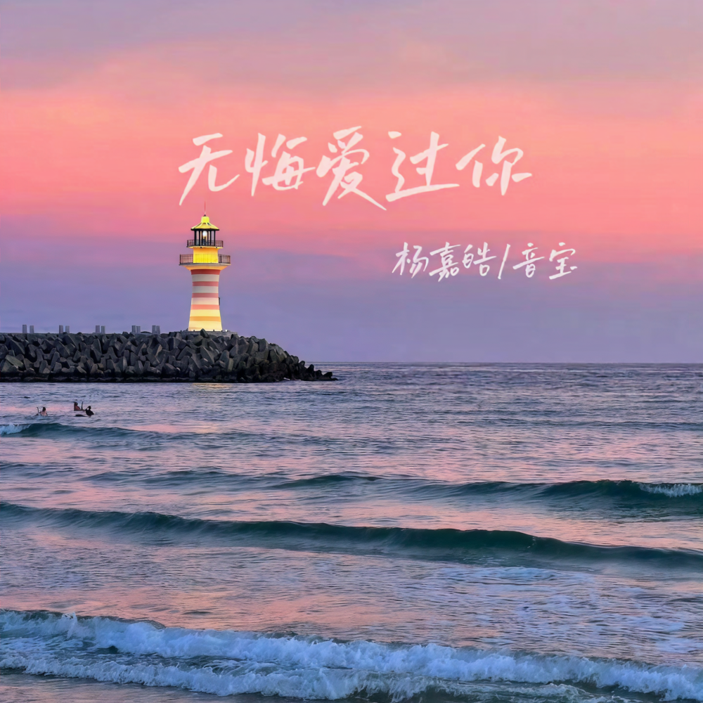 无悔爱过你 (DJ阿阳版伴奏)