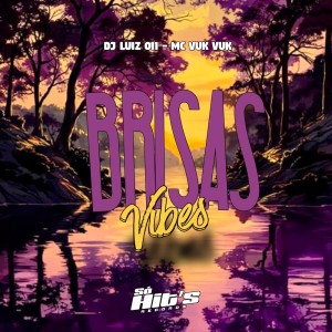 收聽DJ Luiz 011的Brisas Vibes (Explicit)歌詞歌曲