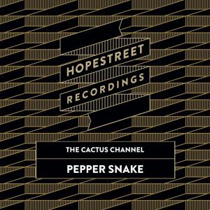 Album Pepper Snake / The Dap oleh The Cactus Channel