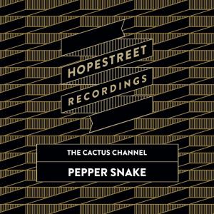 Dengarkan lagu Pepper Snake nyanyian The Cactus Channel dengan lirik
