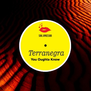 收聽Terranegra的You Oughta Know (Mr.Engine Underlab Version)歌詞歌曲