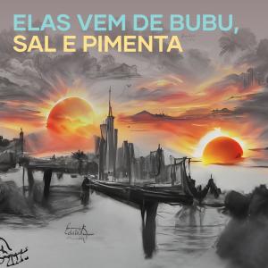 Listen to Elas Vem de Bubu, Sal e Pimenta song with lyrics from Dj Cleber