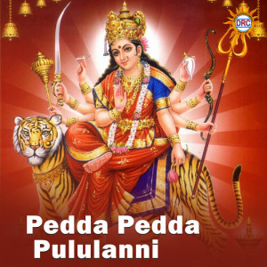 Album Pedda Pedda Pululanni oleh Bhole Shavali