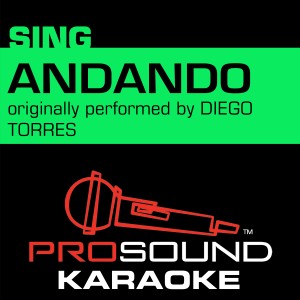 Andando (Originally Performed by Diego Torres) [Instrumental Version]