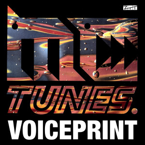 อัลบัม Voiceprint - MC Tunes Vs. 808 State's Greatest Bits ศิลปิน 808 State