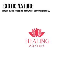 收听Anupama Reddy的Spiritual Diva歌词歌曲