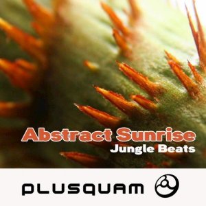 收聽Abstract Sunrise的Pump Up歌詞歌曲
