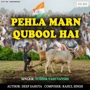 Listen to Pehla Marn Qubool Hai song with lyrics from Sudhir Yaduvanshi