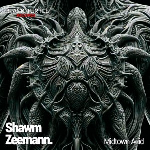 ดาวน์โหลดและฟังเพลง Midtown Acid พร้อมเนื้อเพลงจาก Shawm
