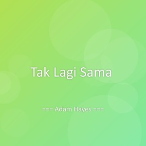收听Adam Hayes的Tak Lagi Sama歌词歌曲
