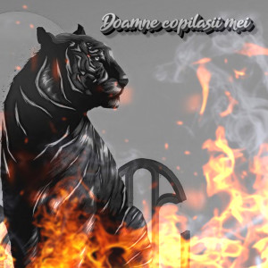 Listen to Doamne copilasii mei song with lyrics from Stefan De La Barbulesti