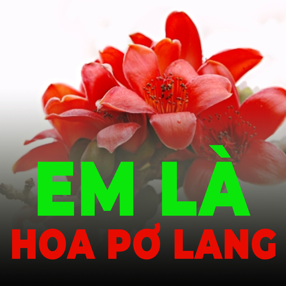 Ngọn đèn đứng gác