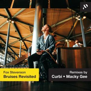 收聽Fox Stevenson的Bruises (Macky Gee Remix)歌詞歌曲