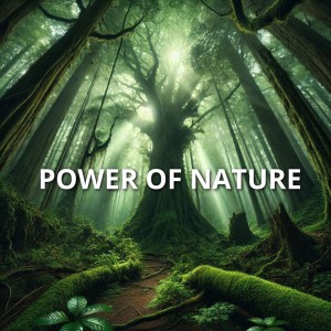 ดาวน์โหลดและฟังเพลง Power of Nature พร้อมเนื้อเพลงจาก Sons da Natureza