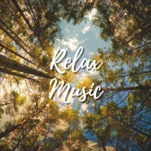 Peaceful Relaxation的專輯Relaxing music Relieves stress, Anxiety and Depression