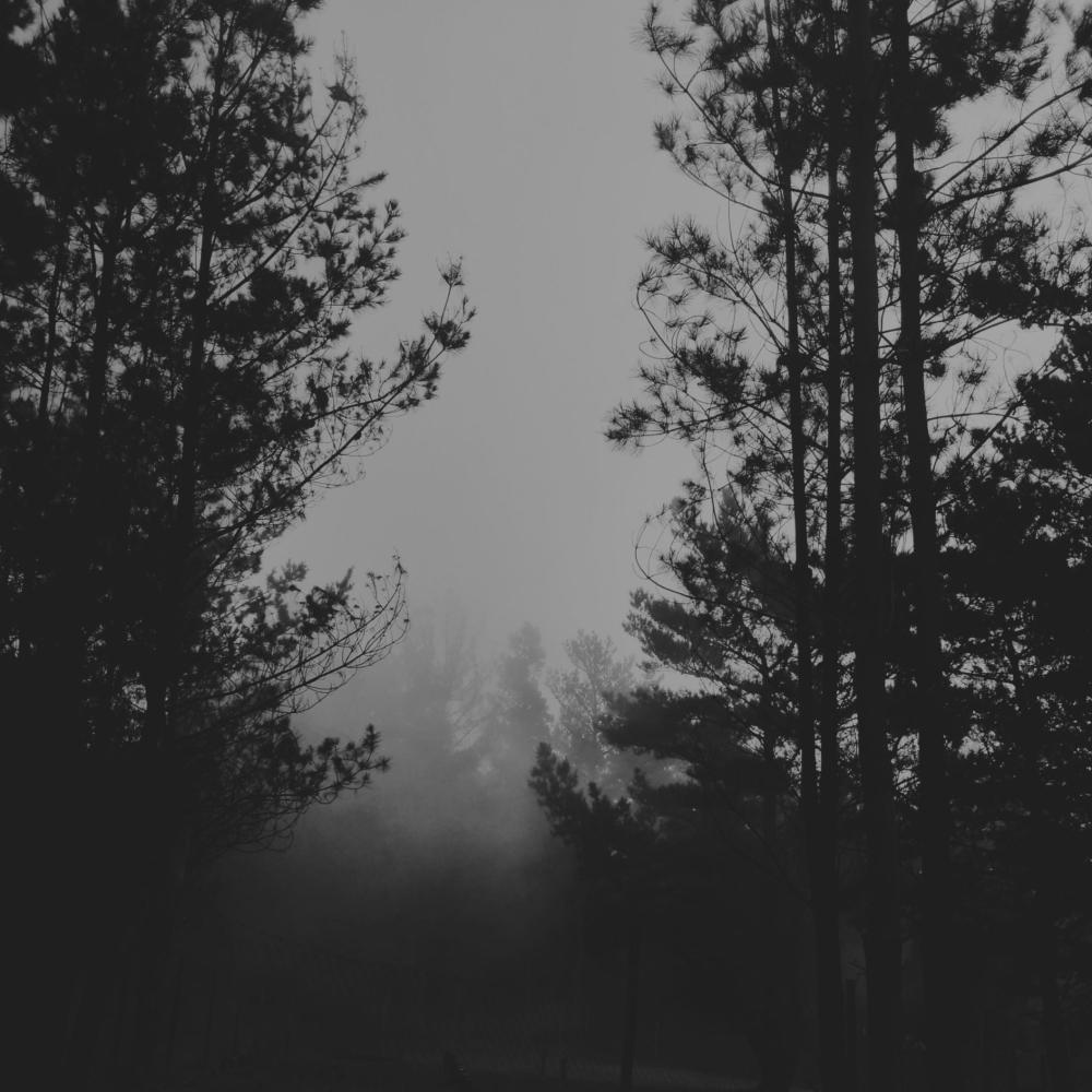 Sacro (feat. Gra2 & Demian Ly) (Explicit)