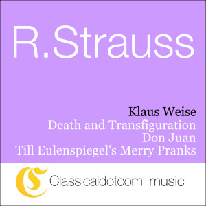 收聽Klaus Weise的Don Juan, Op. 20 - Don Juan歌詞歌曲
