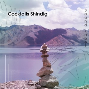 อัลบัม Cocktails Shindig ศิลปิน Various Artists