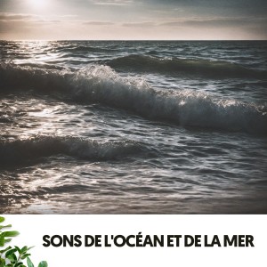 Ruido Blanco Hart的專輯Sons de l'Océan et de la Mer: Mélodies de l'Eau et du Rocher