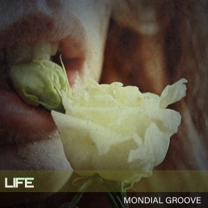 อัลบัม Life ศิลปิน Mondial Groove