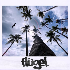 Album Flügel from Seaside Clubbers