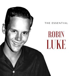 收聽Robin Luke的All Because Of You (Single Version)歌詞歌曲